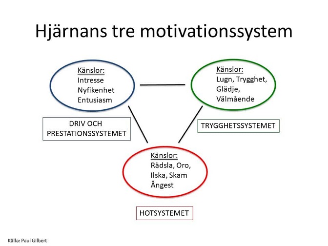 Hjarnans_tre motivationsystem
